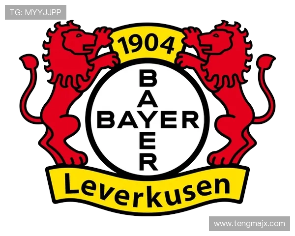 德甲球队名字及网名趣味盘点