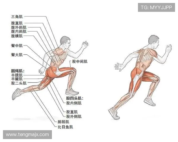 高强度训练如何帮助提升体力与爆发力