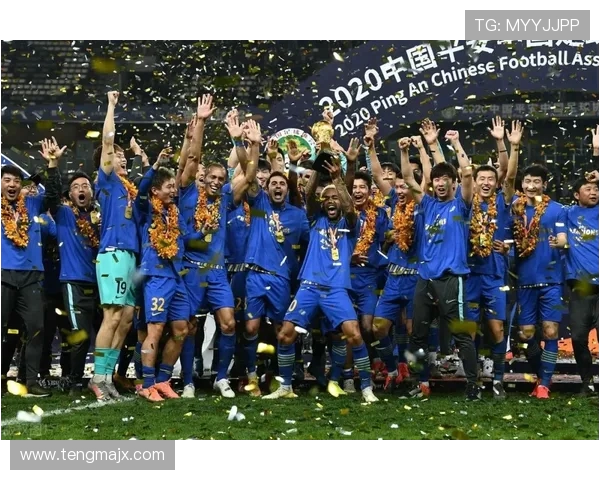 中国足球中超联赛山东鲁能队最新阵容分析 中国足球中超联赛山东鲁能队最新阵容分析